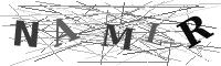 Please refresh your browser to see this image.